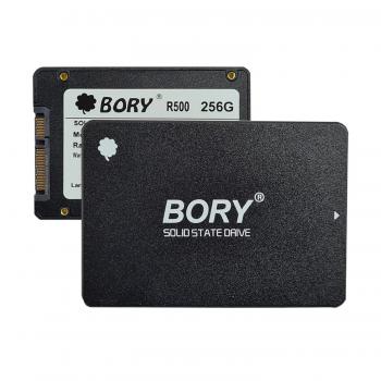 BORY R500-C256G 256 GB 550/510 MBS SATA3 SSD